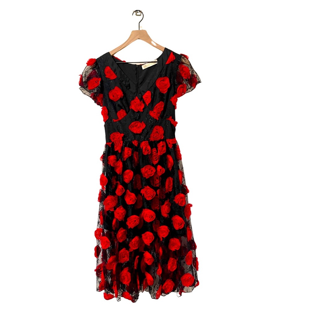 Jianshan Red & Black Rose Petal Semi Formal Party Dress Size Small
